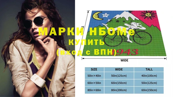 apvp Бородино
