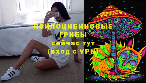 spice Богданович
