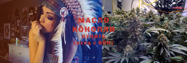 apvp Бородино