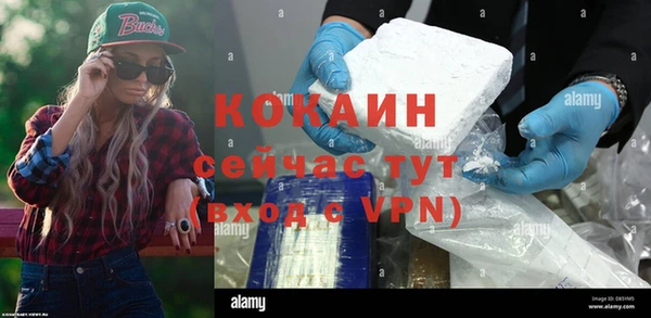 apvp Бородино