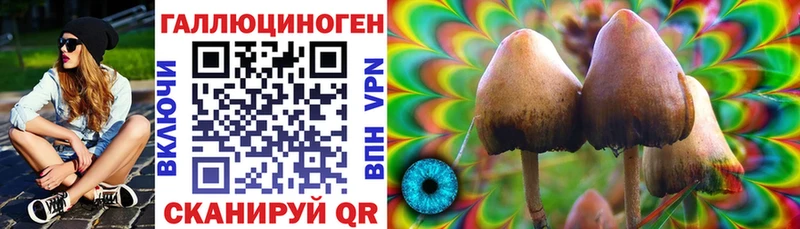 ссылка на мегу ONION  Чудово  Псилоцибиновые грибы Magic Shrooms 
